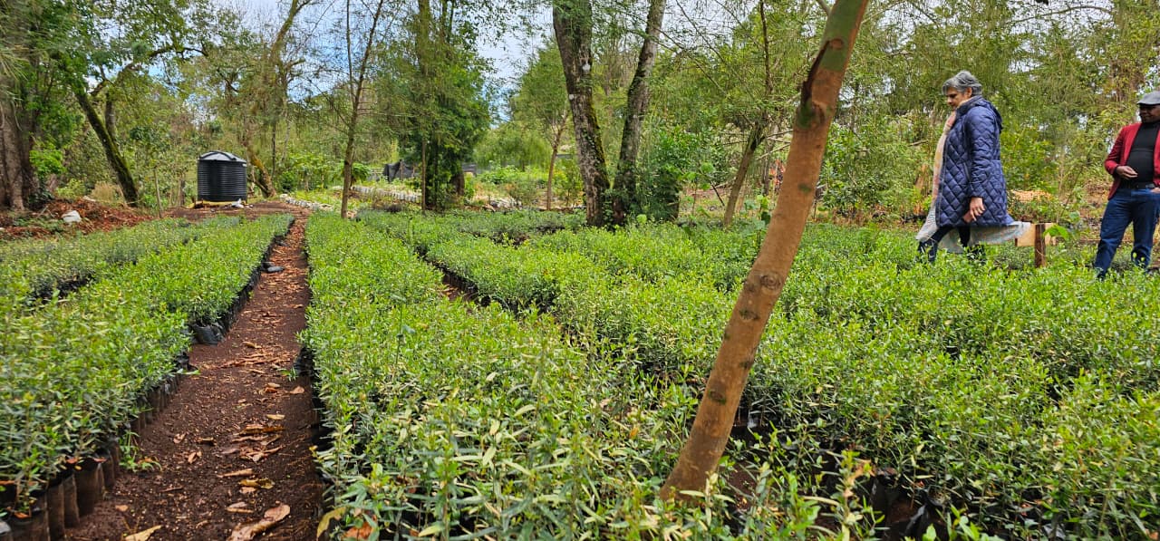 Community empowerment