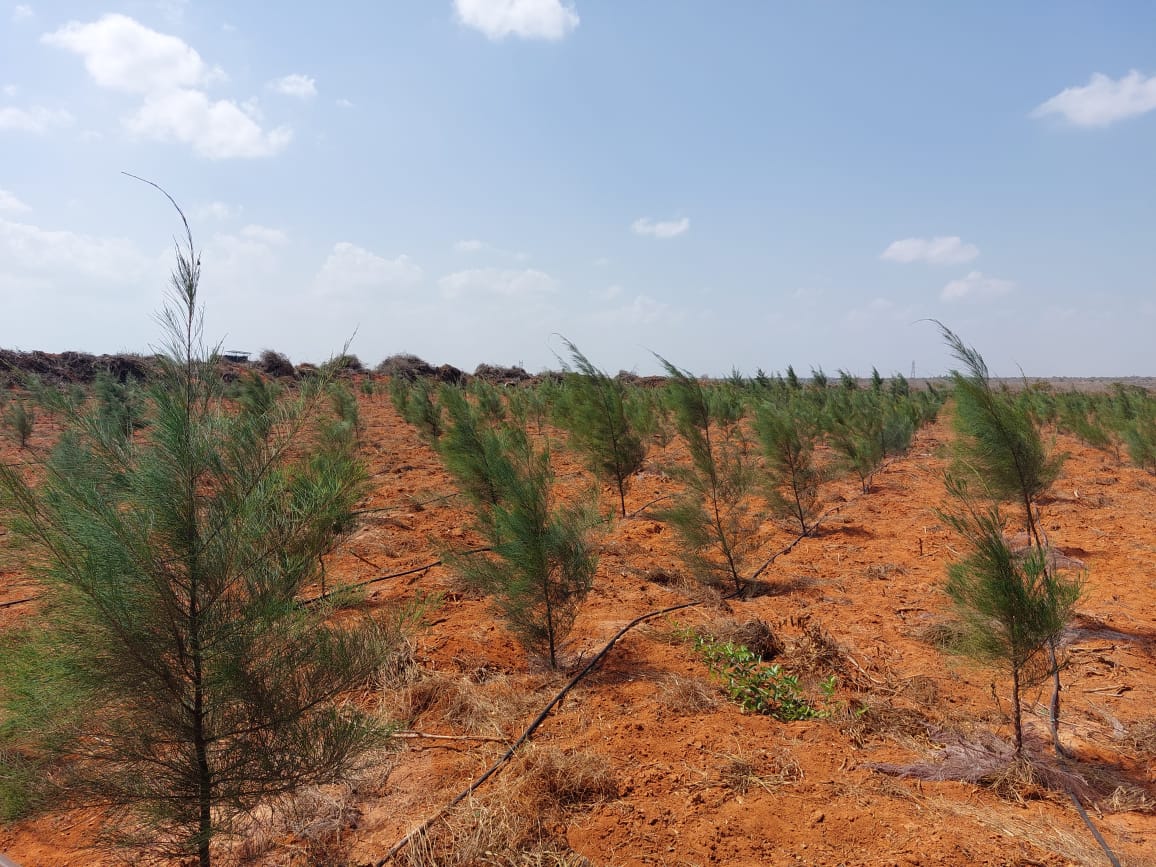 Smart Farming Initiative