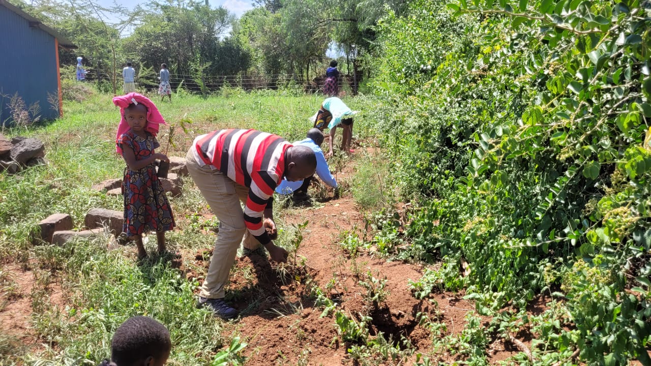 Environmental Conservation