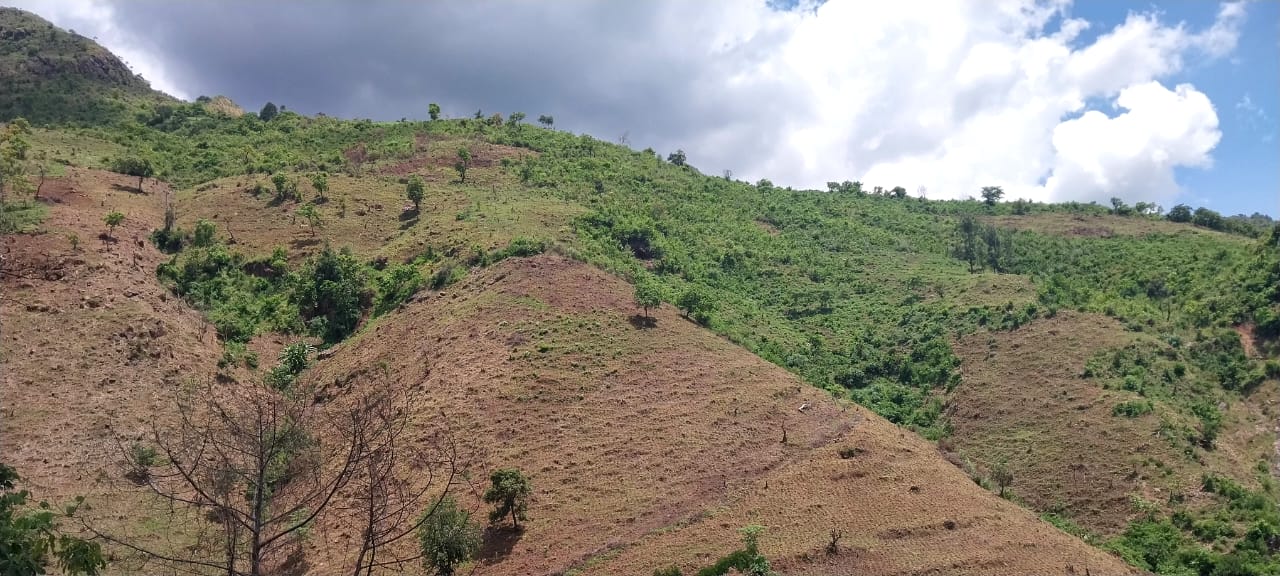 Environmental Conservation