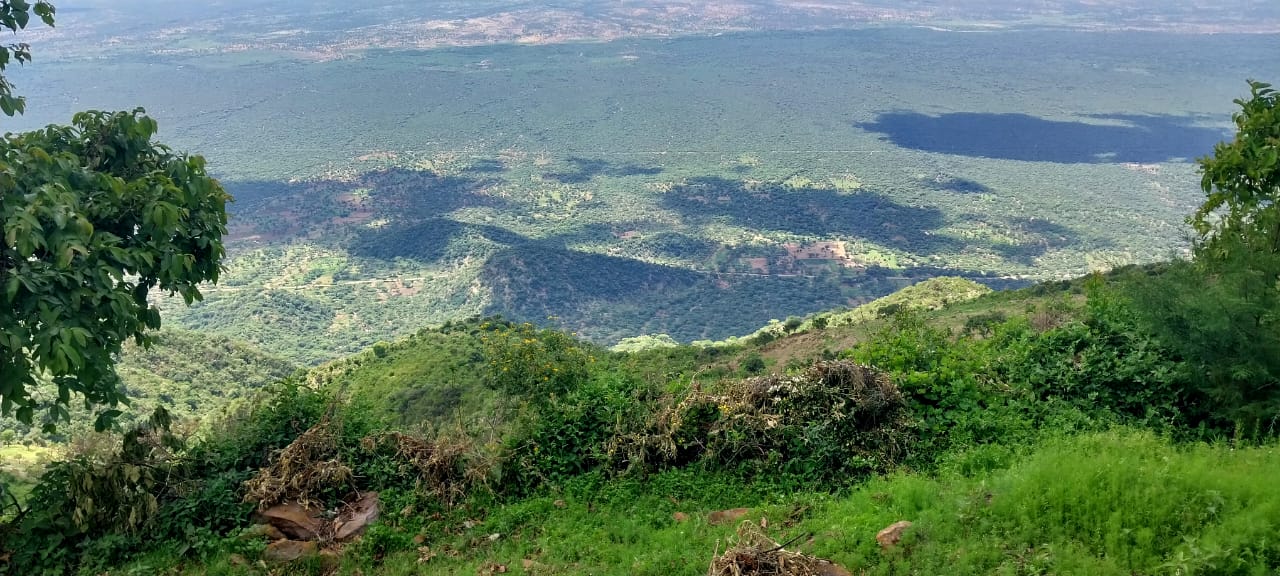 Environmental Conservation