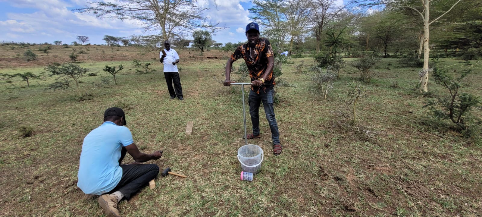 Digital Training Program