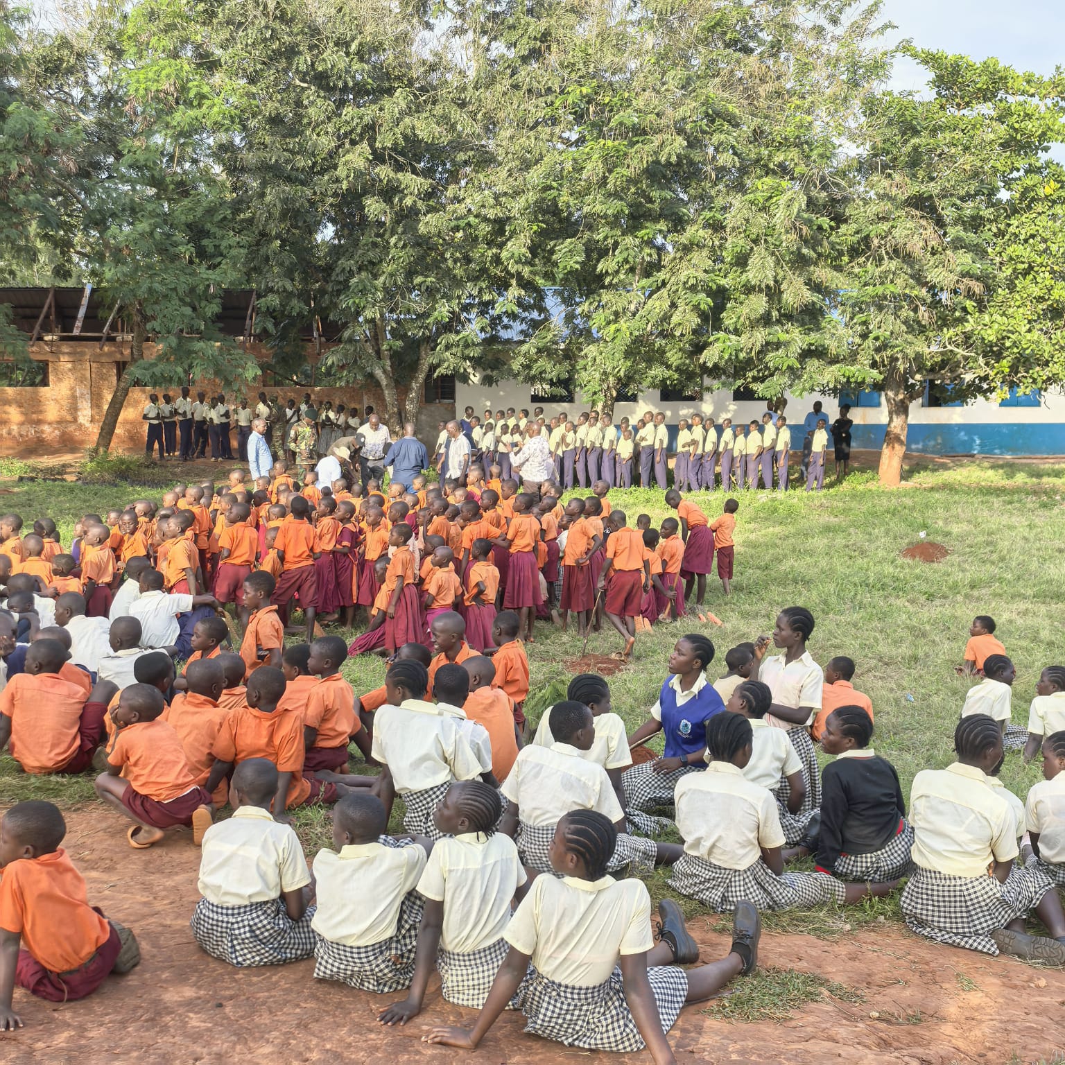 Digital Literacy Programmes