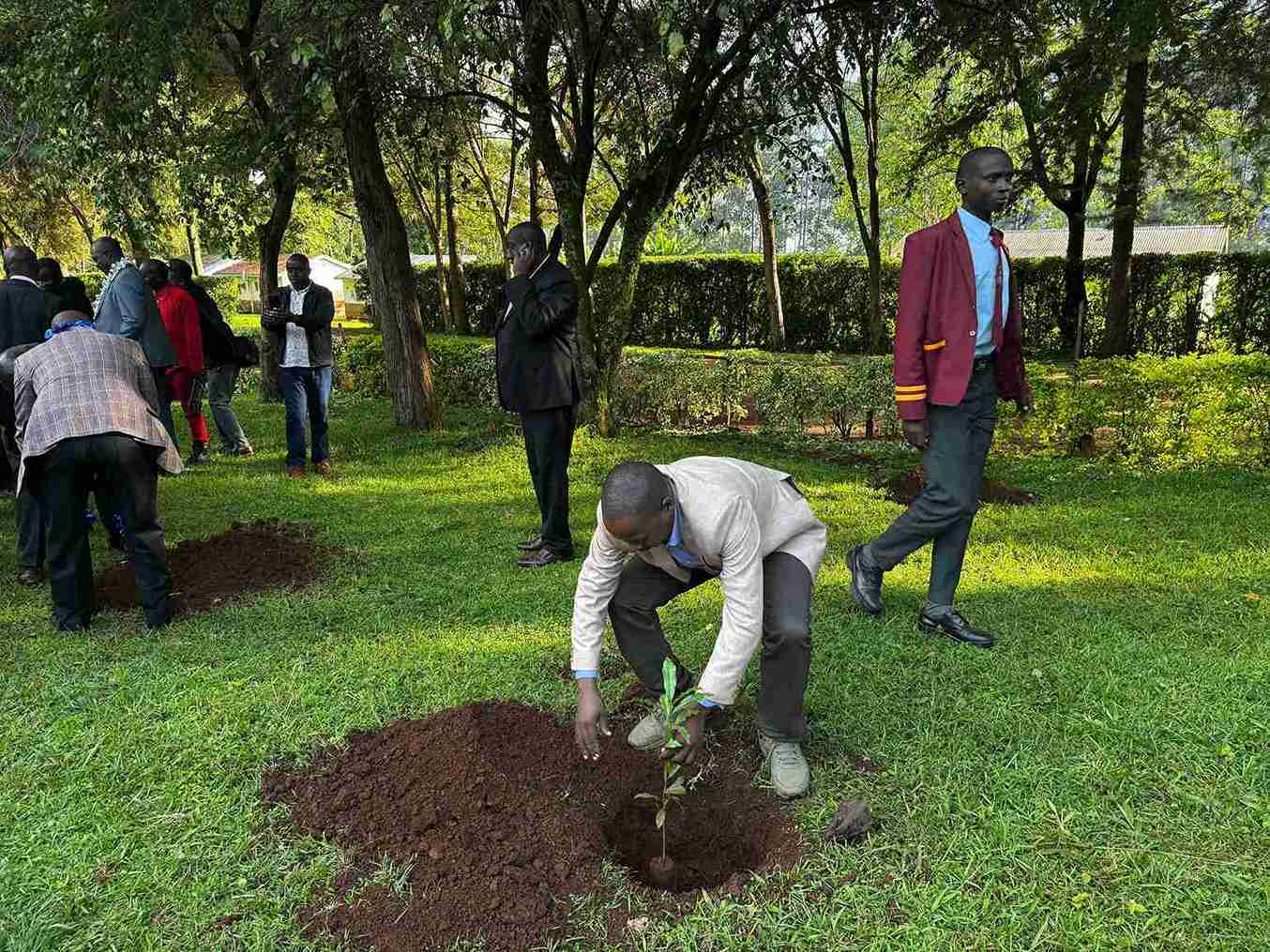 Digital Literacy Programmes