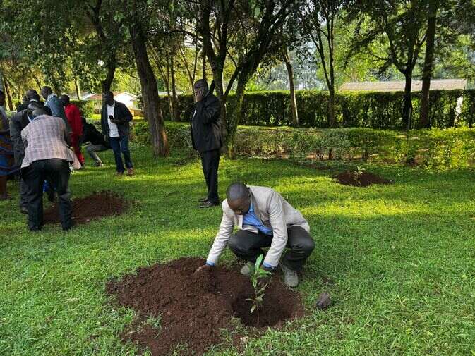 Digital Literacy Programmes