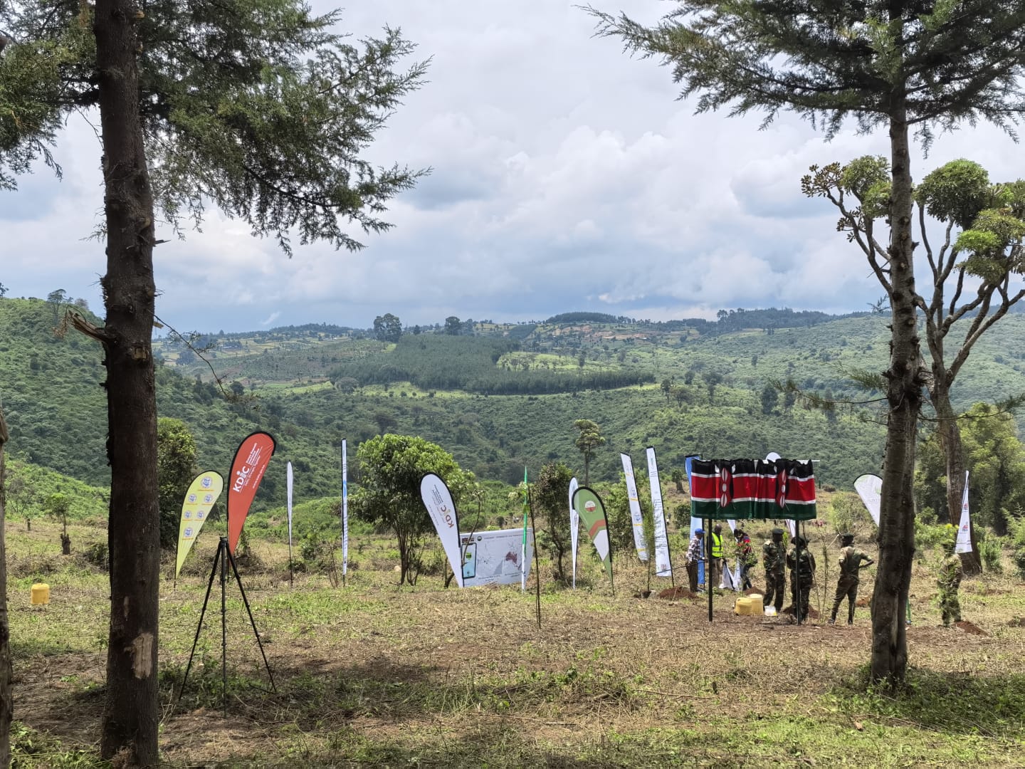 Environmental Conservation