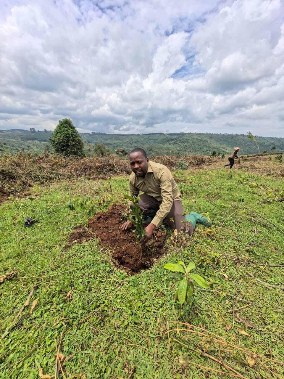 Environmental Conservation