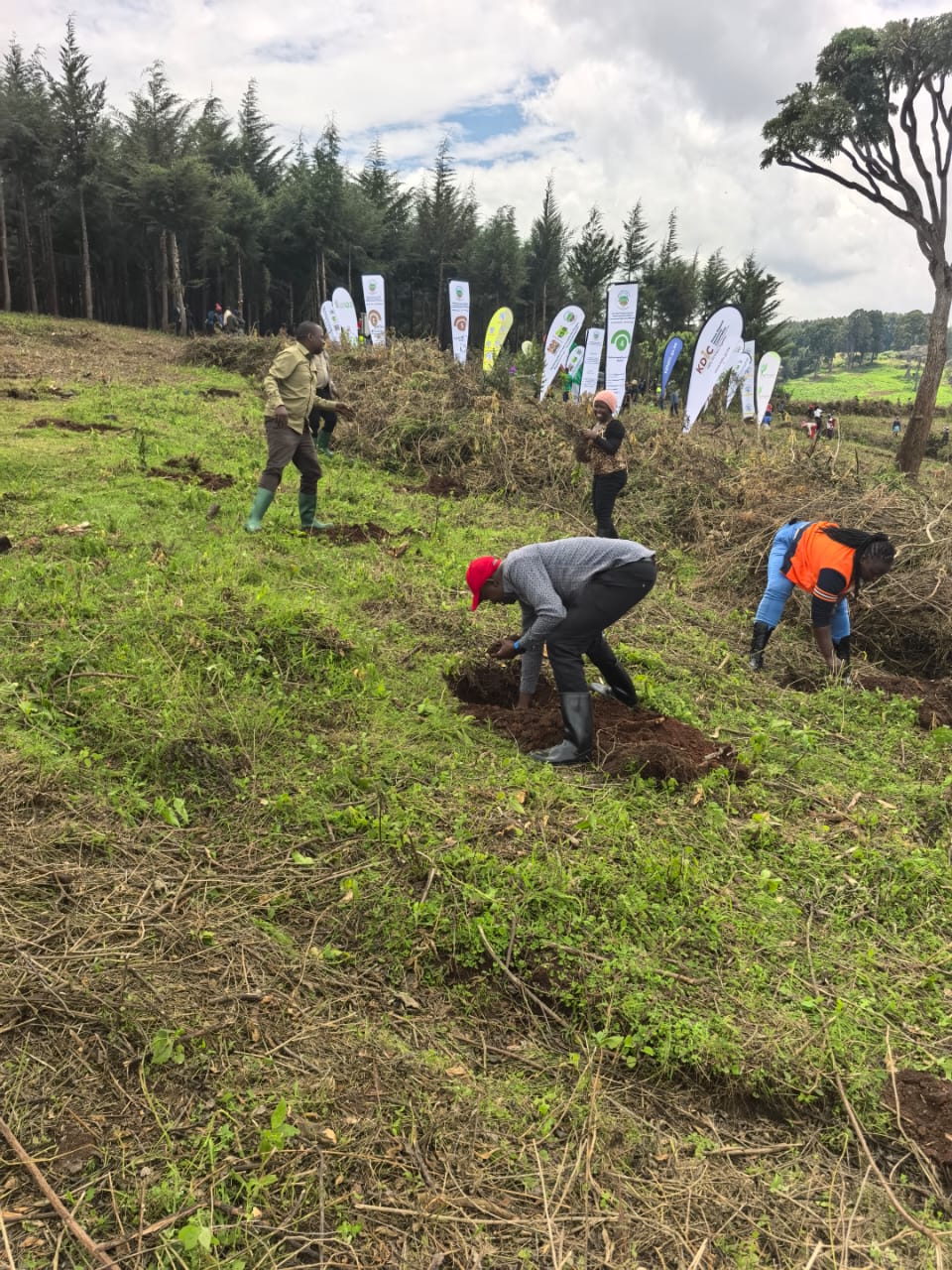 Environmental Conservation