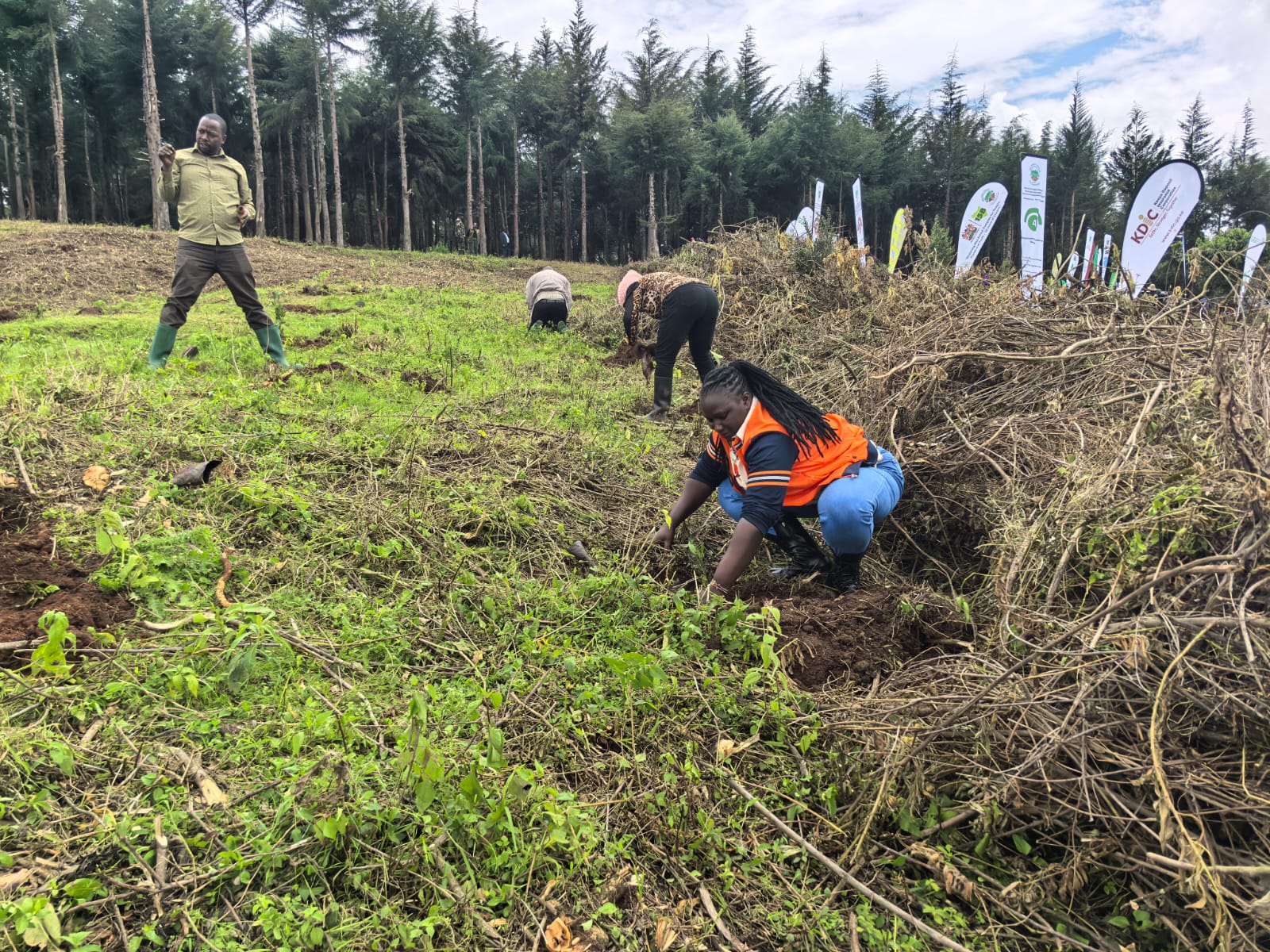 Environmental Conservation